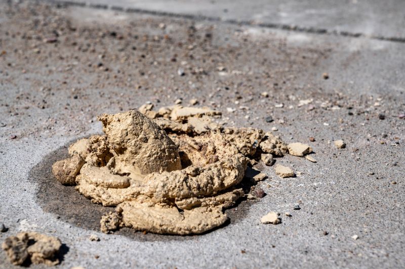 Eco-Friendly Options